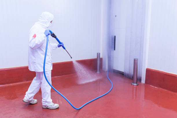 Best Pre-Holiday Cleaning  in Ramblewood, NJ